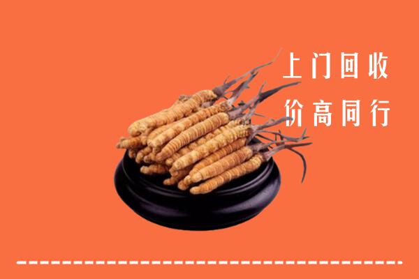 高价求购：青山回收散虫草