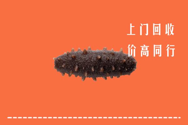 高价求购：青山回收海参