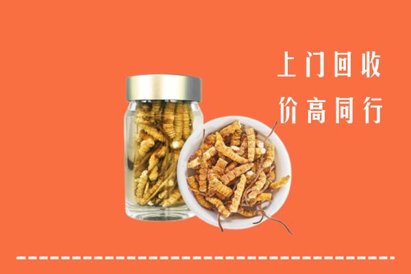 青山回收冬虫夏草
