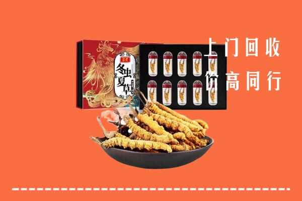 青山回收虫草